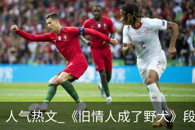 人气热文 《旧情人成了野犬》段复津谈轻棠 谈雾亦段珩常