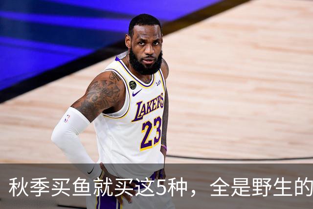 秋季买鱼就买这5种，全是野生的，人工养不了，比养殖鱼更香
